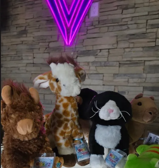 Webkinz plush display at Vaulted YYC